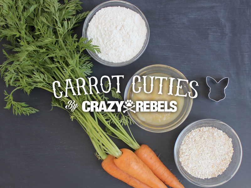 RECIPE: Cute Carrot Dog Treats