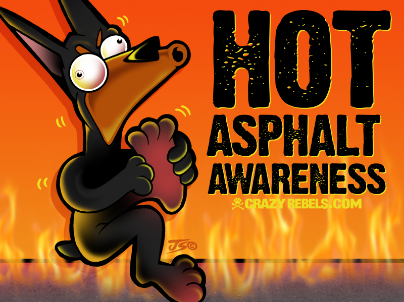 Hot Asphalt Awareness For Dogs