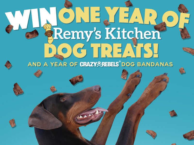 WIN A Year of Treats & Style!
