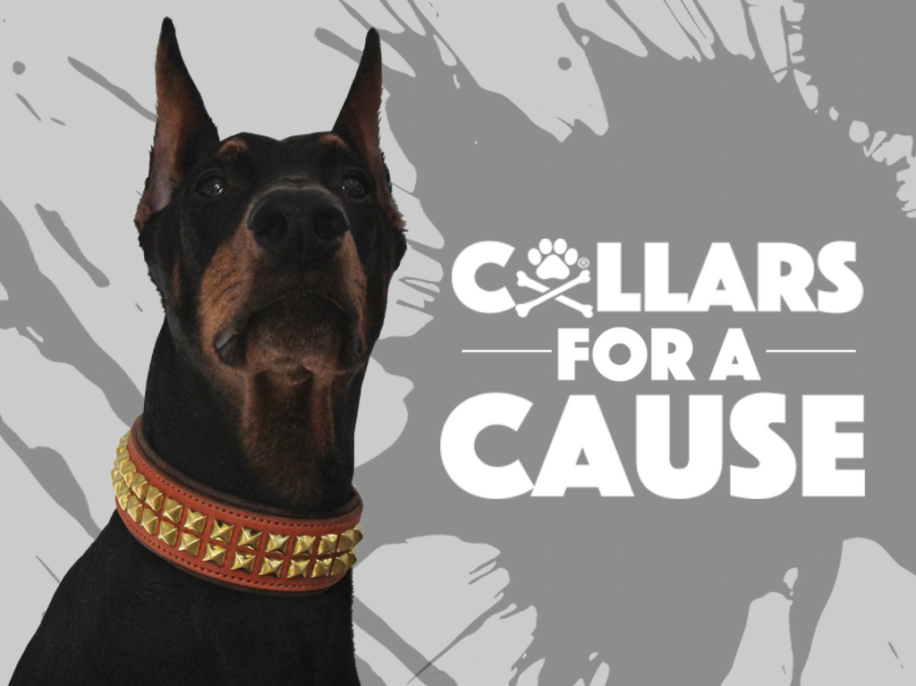 Collars For a Cause