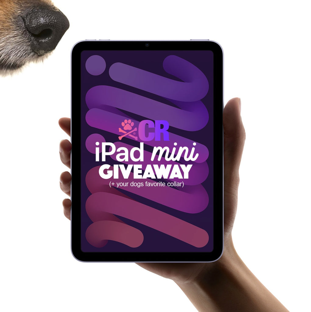 Win an iPad Mini + Any CR Collar