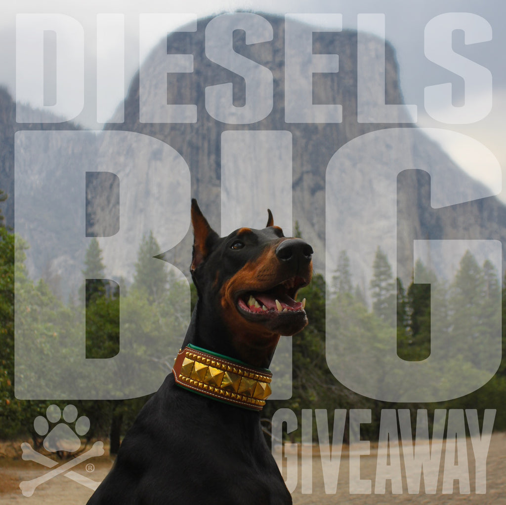 Diesel's Big Giveaway