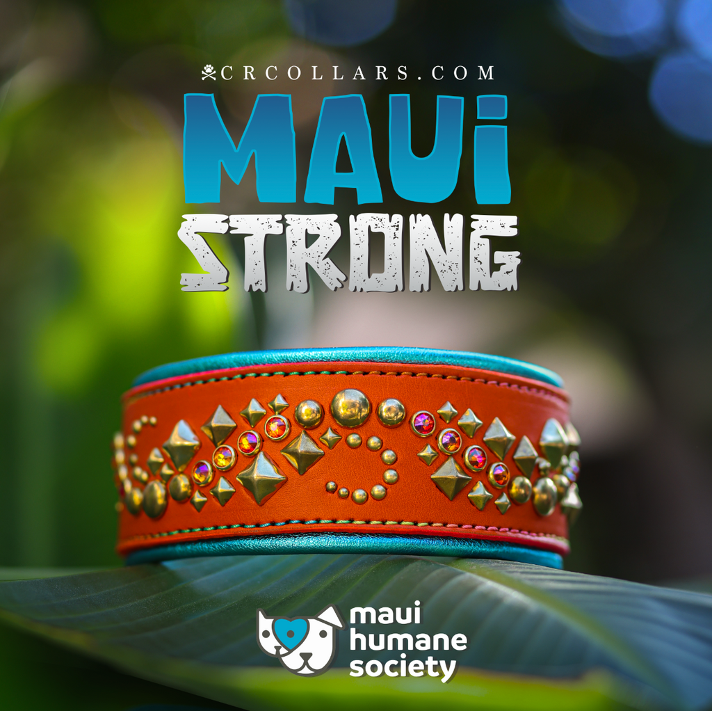 Maui Strong