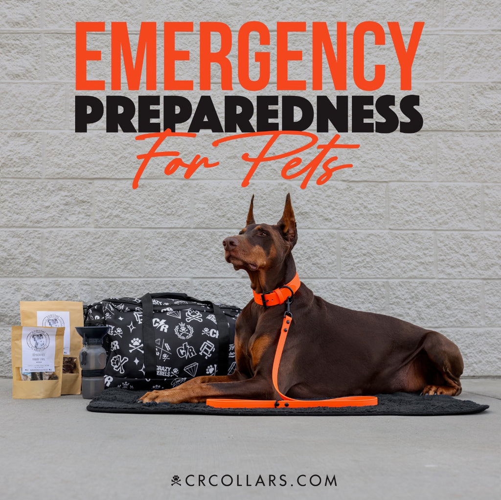 GIVEAWAY: Emergency Preparedness