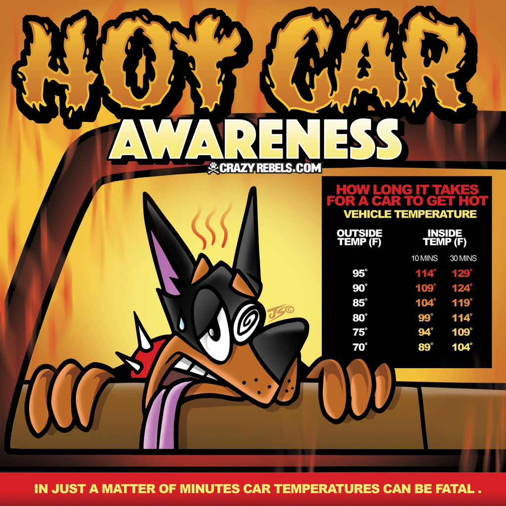 Hot Car Awareness
