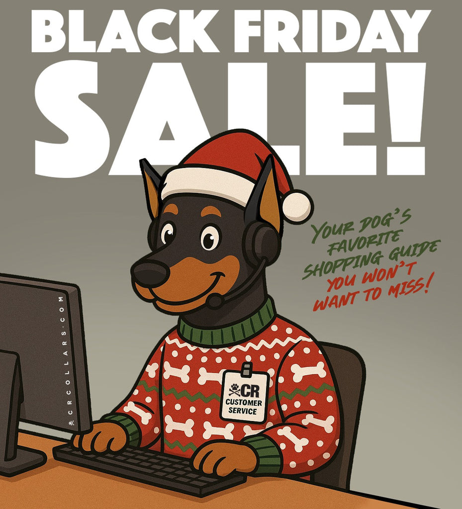 CR HOLIDAY SHOPPING GUIDE 2025