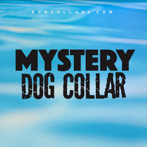 Mystery Great White Illusion Collar, 11” - 13”