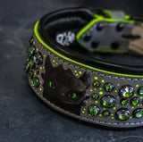 TOOTHLESS Embrz Collar