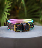 Easter Embrz Collar