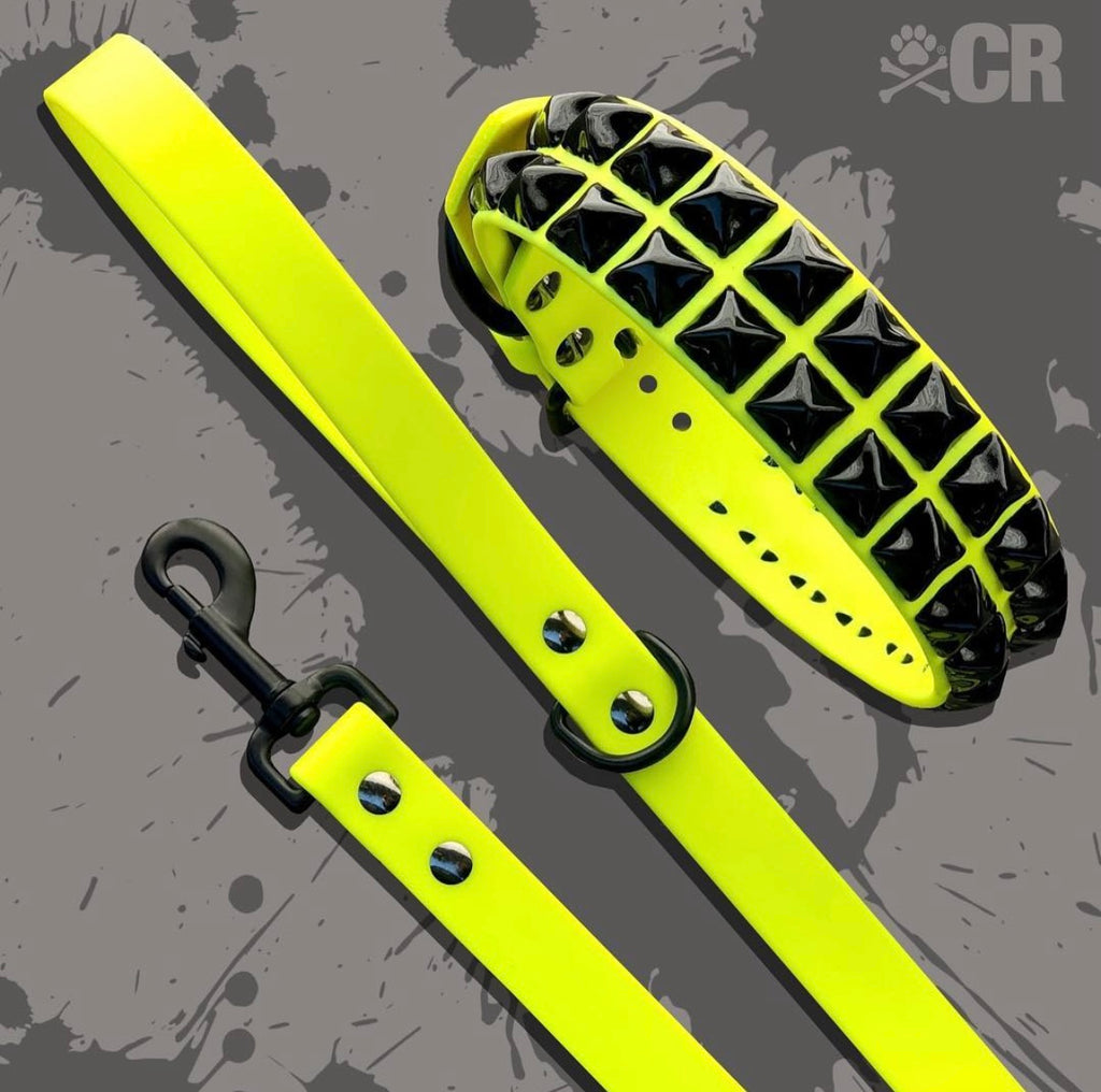 Kyon Triumph Collar