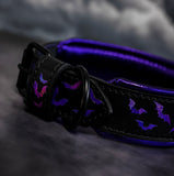 Batty Addams Collar