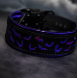 Batty Addams Collar