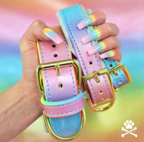 Rainbow Sherbet Classic Collar