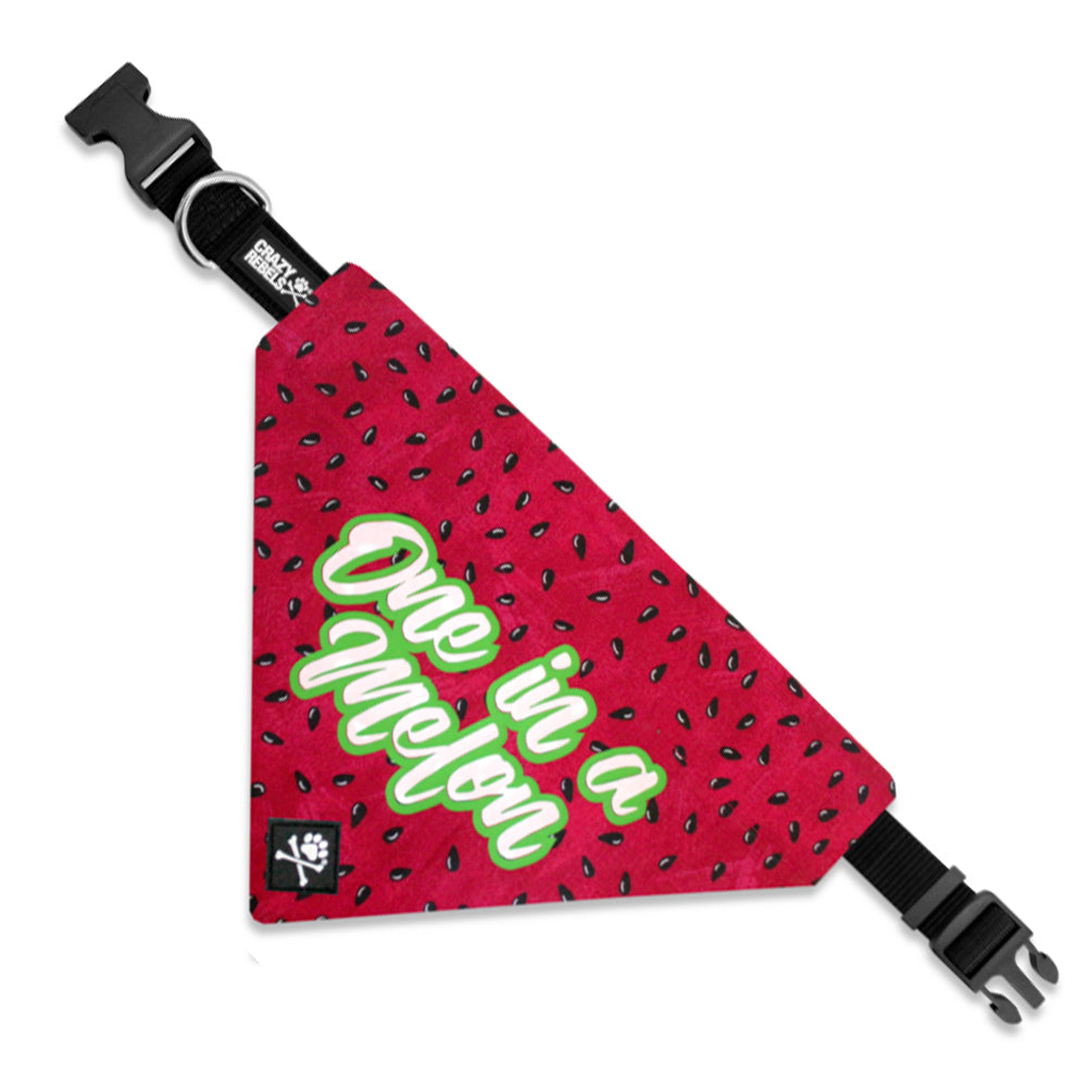 One In A Melon Bandana (Nylon Collar Not Included) - L