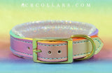 Rainbow Sherbet Classic Collar