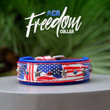 Freedom Collar