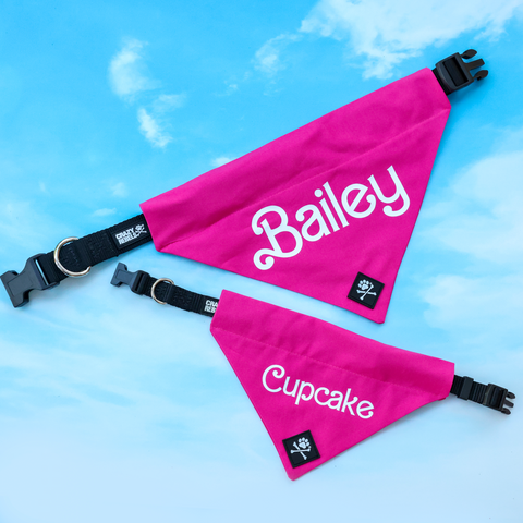 Custom Name Barbie Bandana (Nylon Collar Not Included)