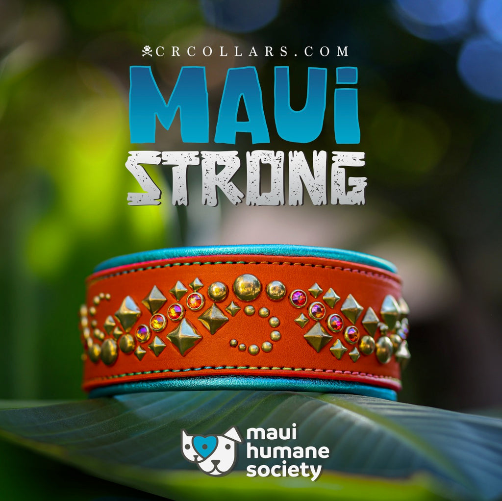 MAUI STRONG Journey Collar