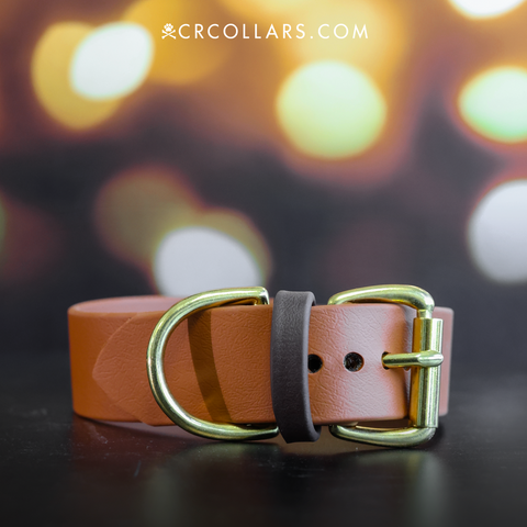 AMBERWICK Kyon Two-Tone Collar + Leash Set