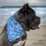 Surfs Up Bandana (Nylon Collar Not Included) - XL