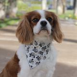 Bliss Bandana (Nylon Collar Not Included)