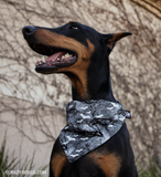 Spooky Hollow Bandana (Nylon Collar Not Included) - L