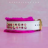 Pretty In Pink Embrz Kustom Collar