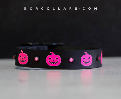 Pink Pumpkin Collar, 10" - 12"