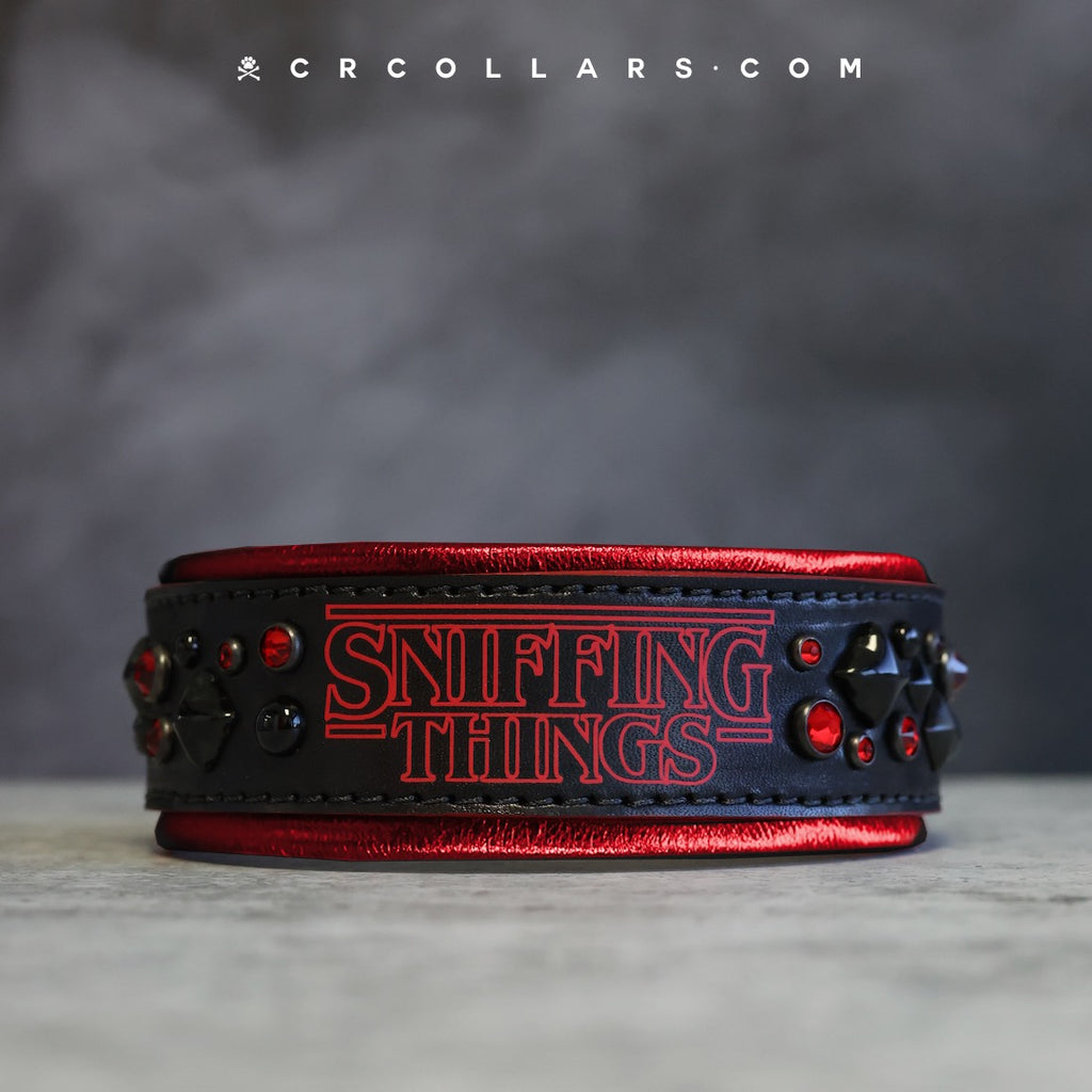 Sniffing Things Avalanche Collar