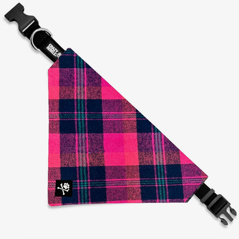 Ivy League Bandana (Nylon Collar Not Included)