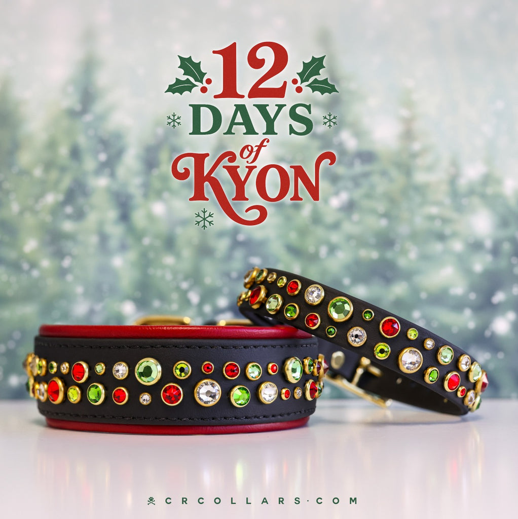 Day 1 | Christmas Kyon Embrz Collar