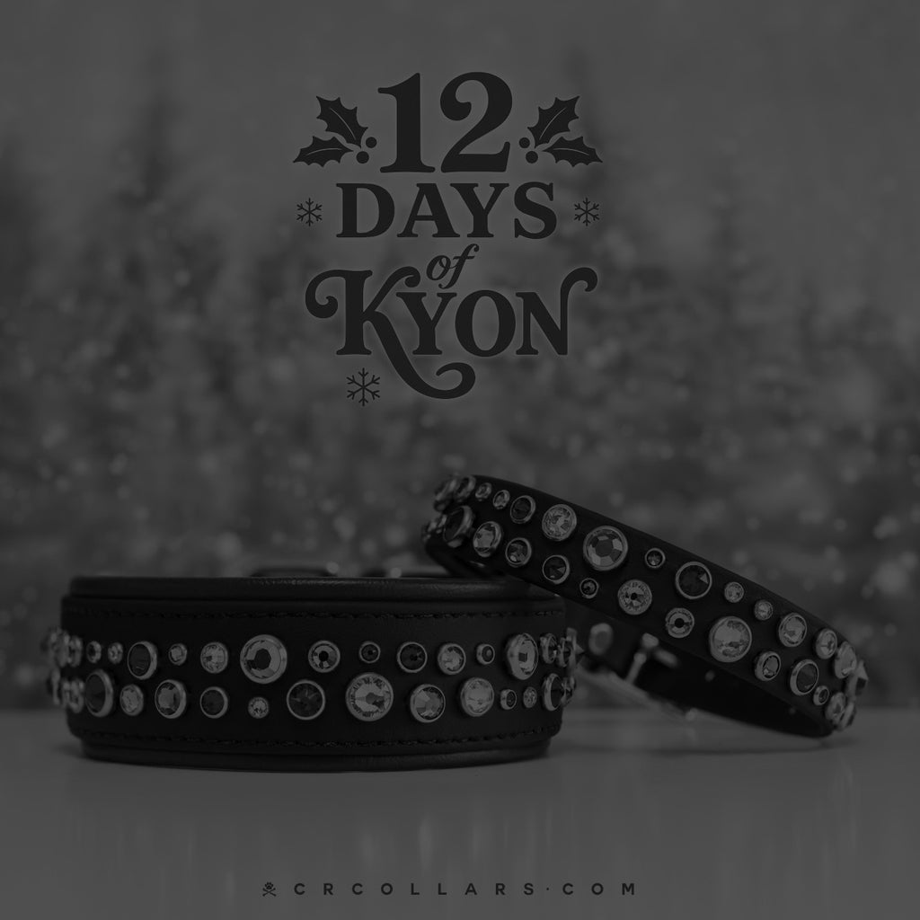 Day 1  I  12.09 Christmas Kyon Embrz Collar