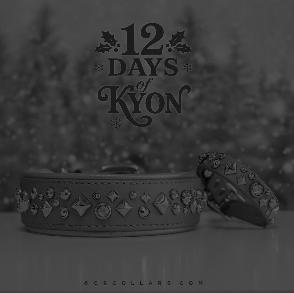 Day 2  I  12.10 Silver & Gold Avalanche Luxe Collar