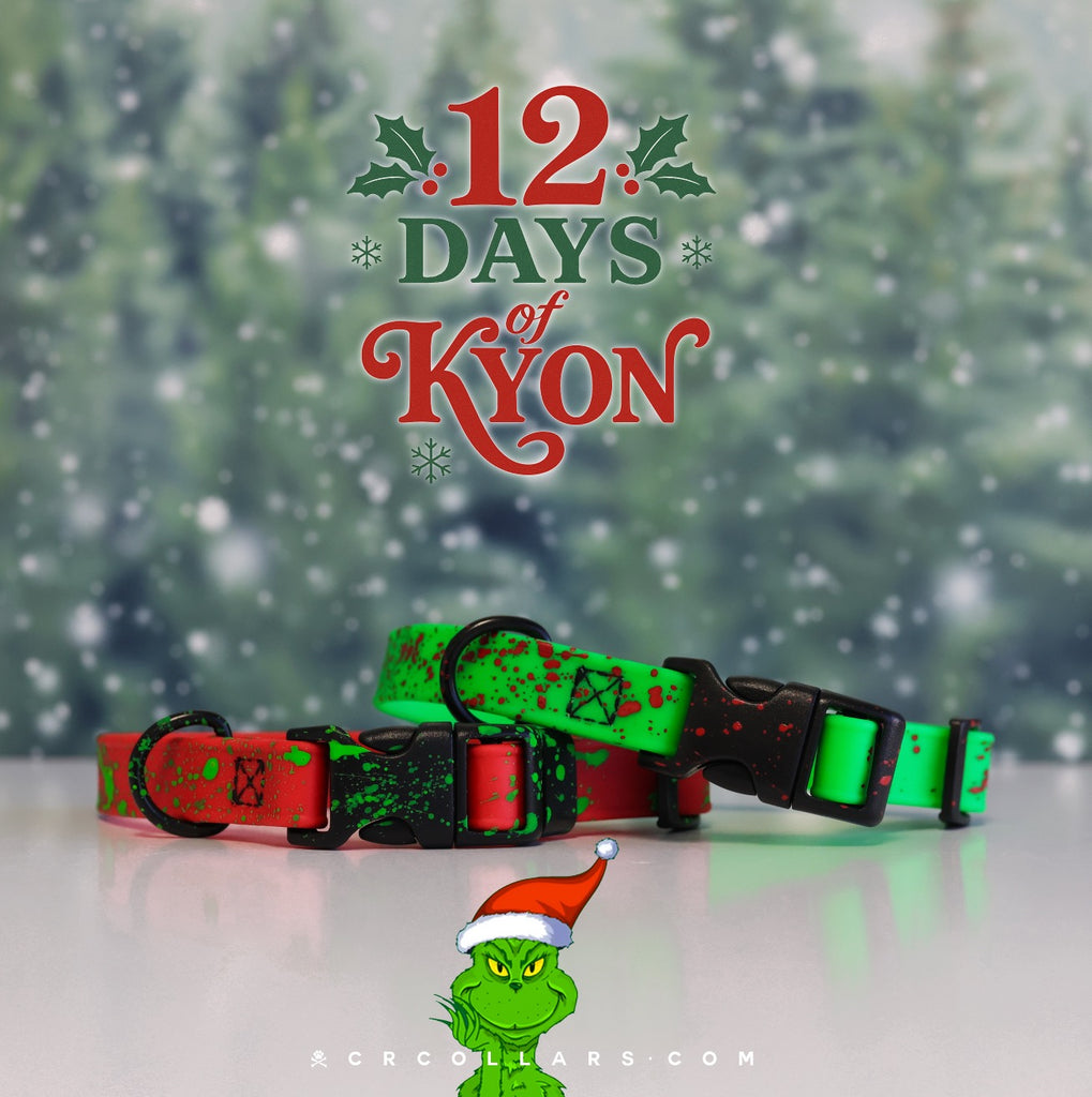 Day 3 I  12.11. Christmas Kyon Flex Collar & Leash