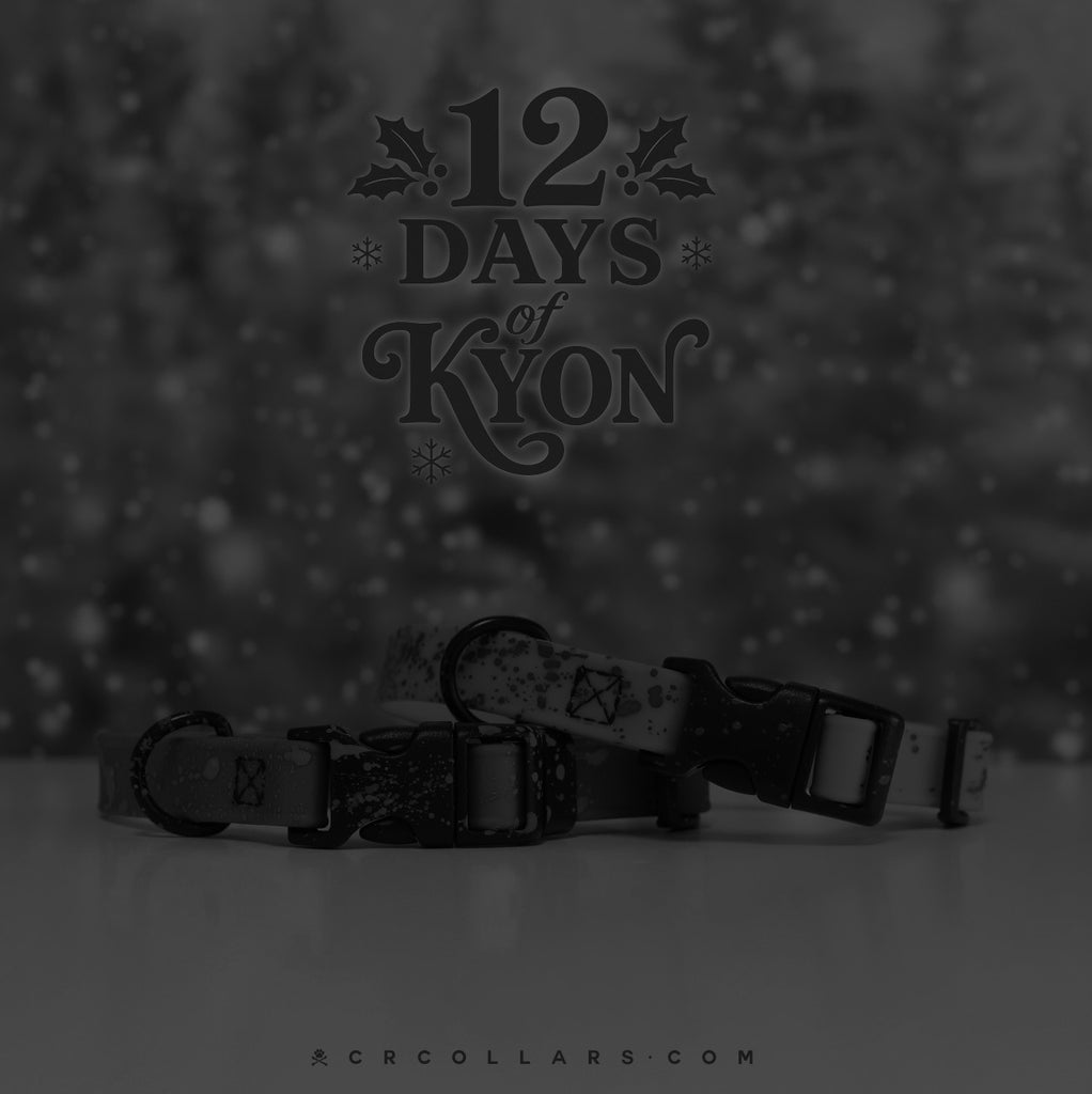 Day 3 I 12.11. Christmas Kyon Flex Collar & Leash