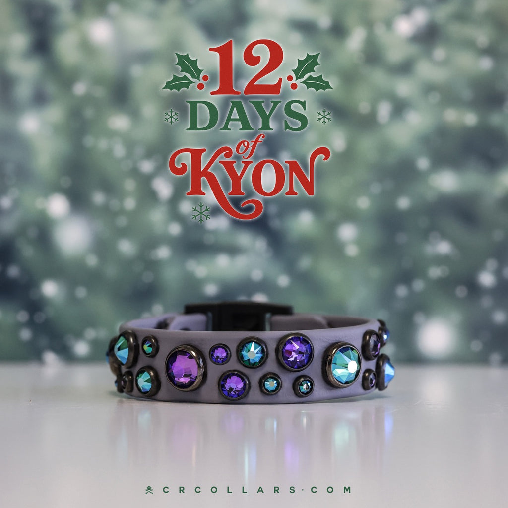 DAY 5 | The Favorite Kyon Embrz Cat Collar