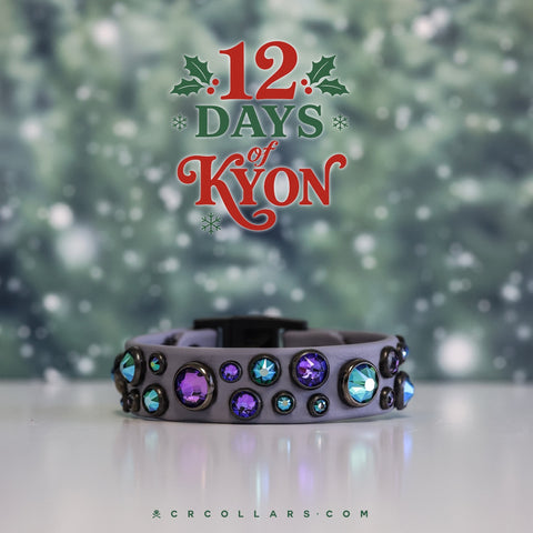 DAY 5 | The Favorite Kyon Embrz Cat Collar