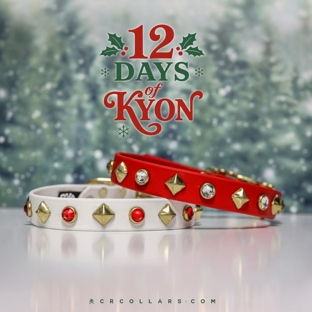 DAY 6  |  SUNDAY STEAL Kyon Luna Collar $100