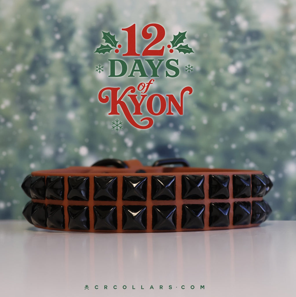 DAY 8  |  12.16 Kyon Triumph Collar