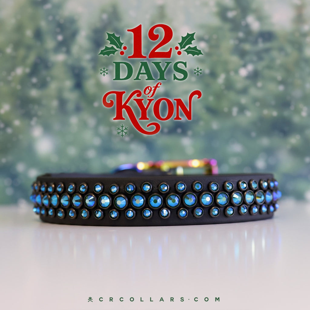 DAY 9  |  12.17 MAGIC Kyon Venetian Mini Collar