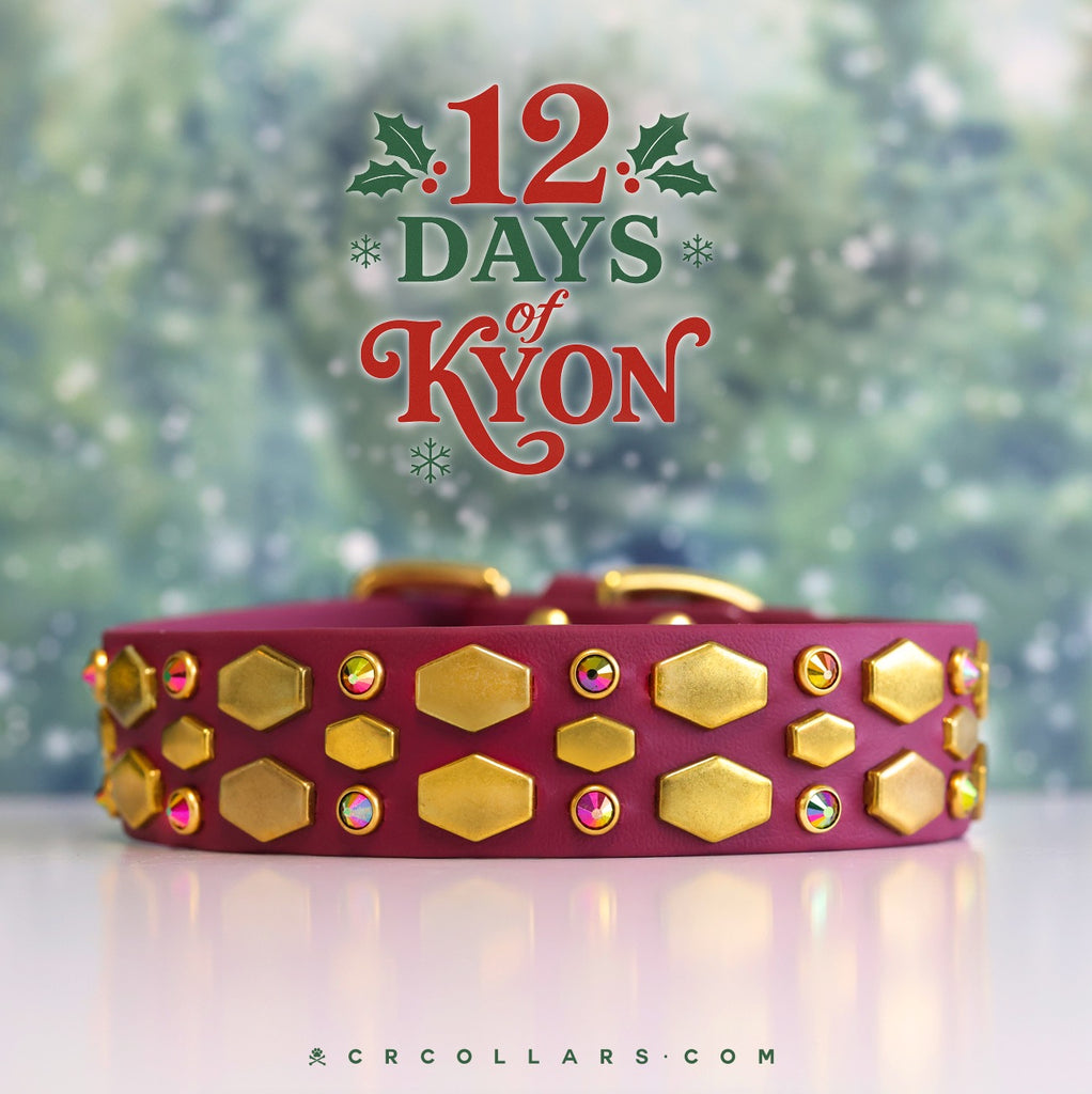 DAY 10  |  12.18 Kyon Venom Collar