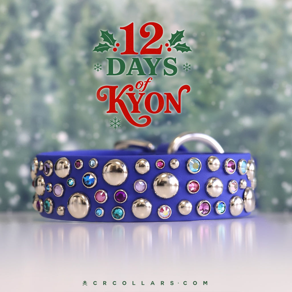 DAY 12  I  NYE GLAM Kyon Deadpool Collar