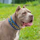 Interstellar Adrenaline Luxe Kustom Collar