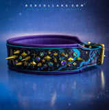 Interstellar Adrenaline Luxe Kustom Collar