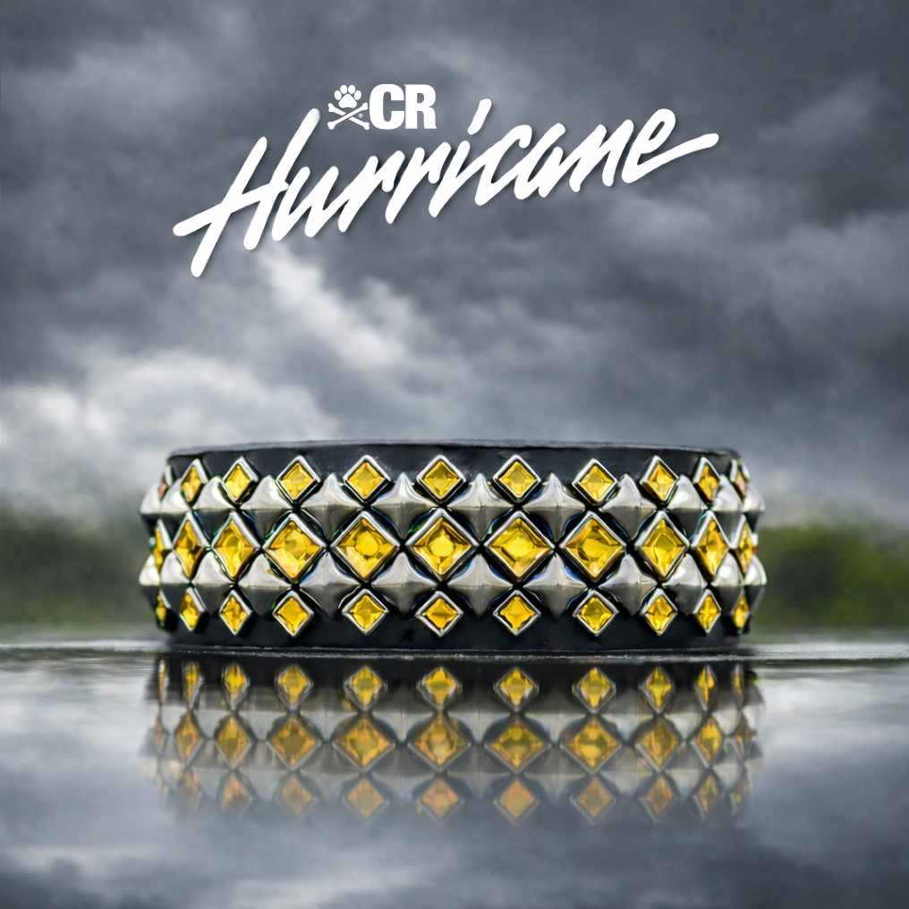 Hurricane Collar (Yellow)