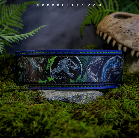 Raptor Kustom Collar, 19" - 21"