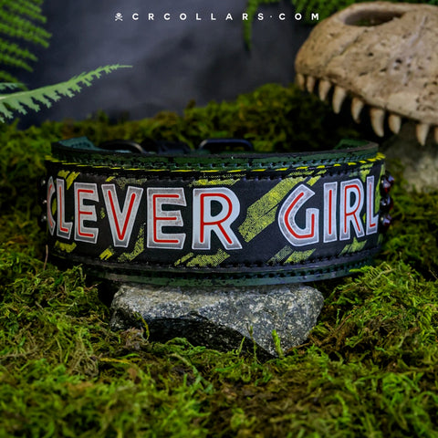 Clever Girl Dakoda Collar, 18" - 20"