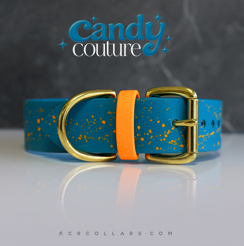 Mango Pop Kyon Splatter Collar