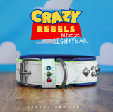 Buzz Avalanche Collar
