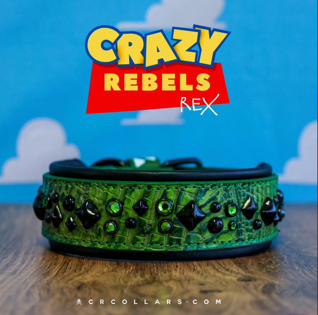 Rex Avalanche Collar